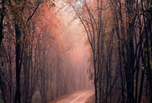 AG旗舰厅网:9.2分,BBC这部顶级神作,太过瘾了.