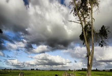 AG旗舰厅网:阿裏納斯:數據再多也只是7加7加7,不值得一提,我可不想要基迪那樣的球員.