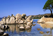 AG旗舰厅网：英超｜曼城7場不勝告終　3：0擊敗諾定咸森林.